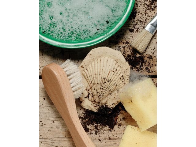 Undersök Fossilier av sten 8/fp