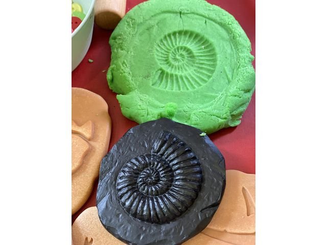 Undersök Fossilier av sten 8/fp