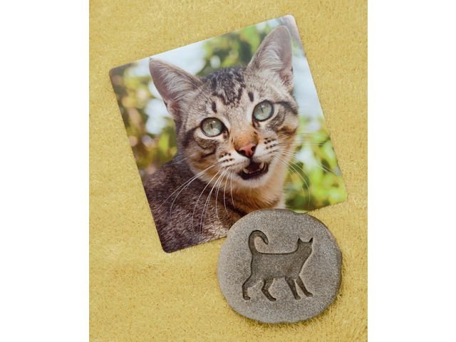 Undersök Fotspår fr bondgården sten 8/fp