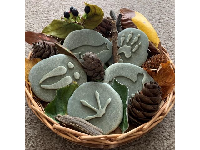 Undersök Fotspår från skogen av sten8/f