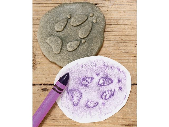 Undersök Fotspår från skogen av sten8/f