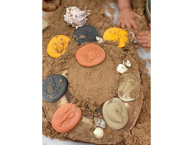 Undersök Havet av sten 8/fp