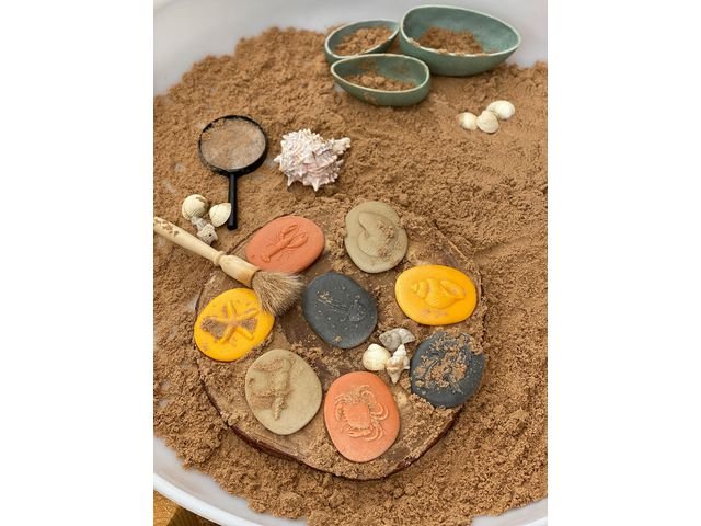 Undersök Havet av sten 8/fp