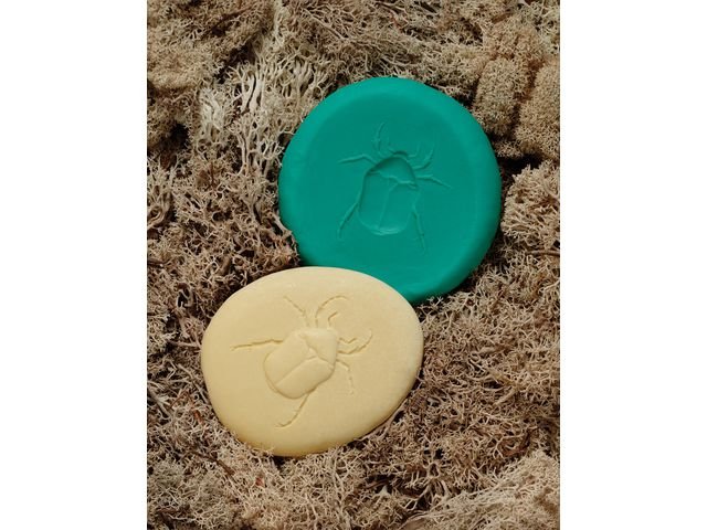 Undersök insekter av sten 8/fp