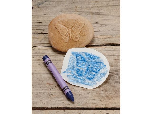 Undersök insekter av sten 8/fp