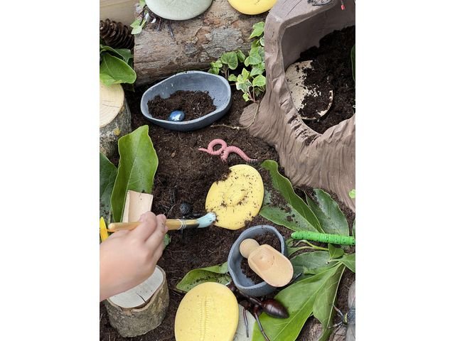 Undersök insekter av sten 8/fp