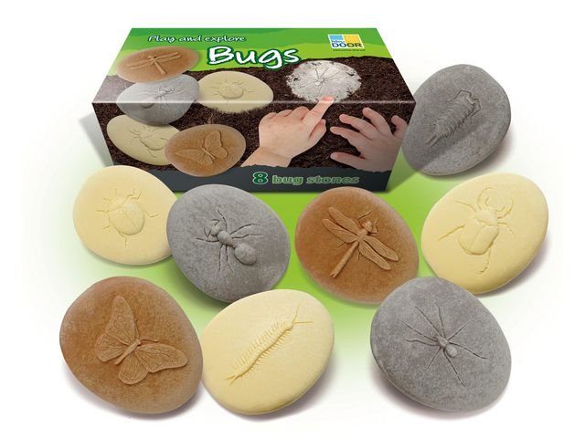 Undersök insekter av sten 8/fp