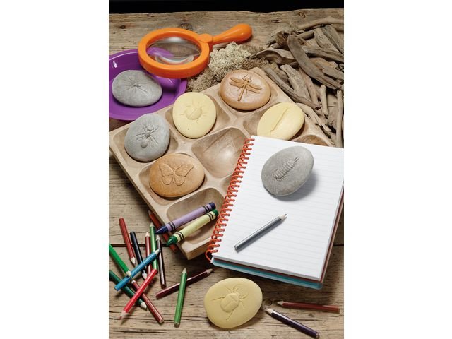 Undersök insekter av sten 8/fp